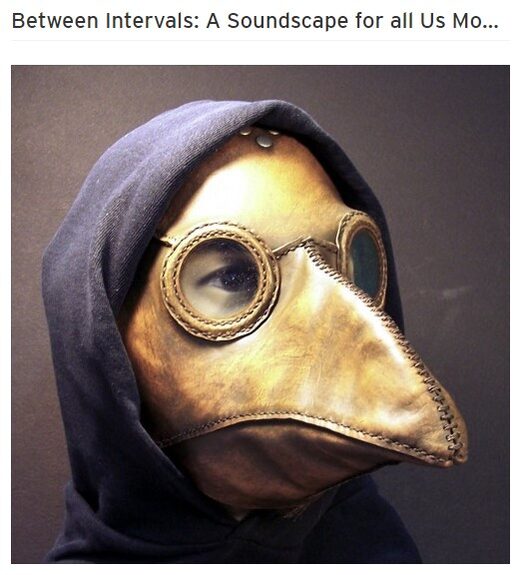 Image of someone wearing a black hoodie and a brown leather bird/plague doctor mask.